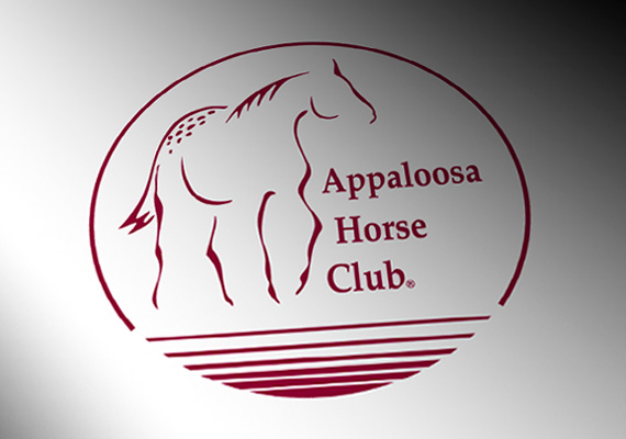 Print Design - At Appaloosa Horse Club, I have worked as an in-house designer. For each national and world championship show, I design and produce the premium book and show program. All printed materials are under my supervision. Appaloosa Horse Club produces a variety of printed material each year for their members, including their monthly publication, Appaloosa Journal.